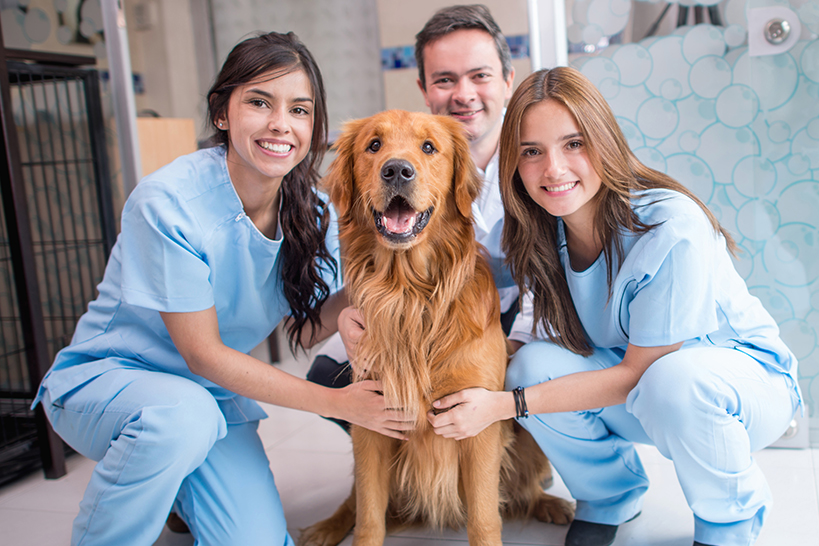 Veterinary Students Loan